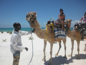 Photo stop on the beach