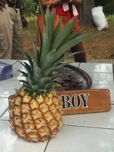 cheese pineapple jamaica croydon