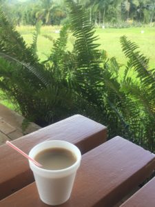 blue mountain coffee jamaica