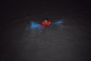 bioluminescent bay 