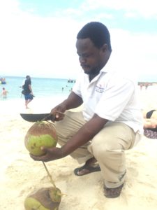 Coconut Jamaica
