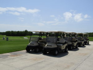 golf carts moon palace