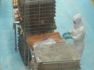 moon palace food control 2