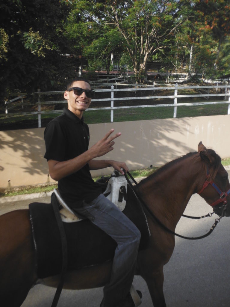 Things to do in Puerto Rico - carabali horse
