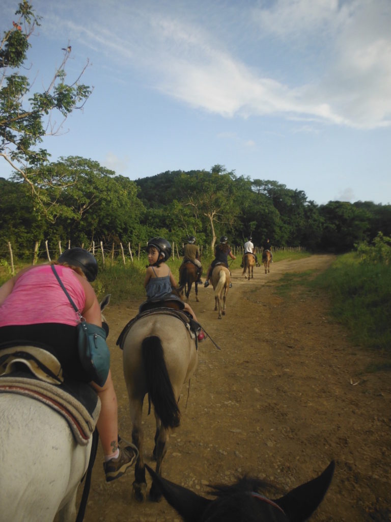 Things to do in Puerto Rico - carabali horse