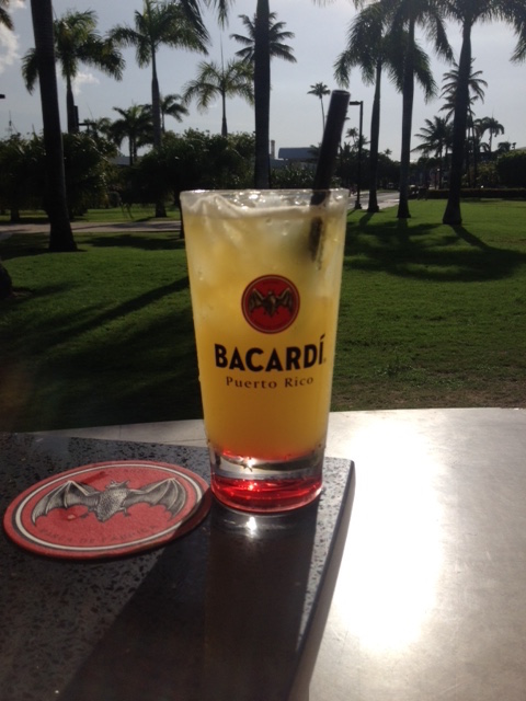 Things to do in Puerto Rico - bacardi rum factory