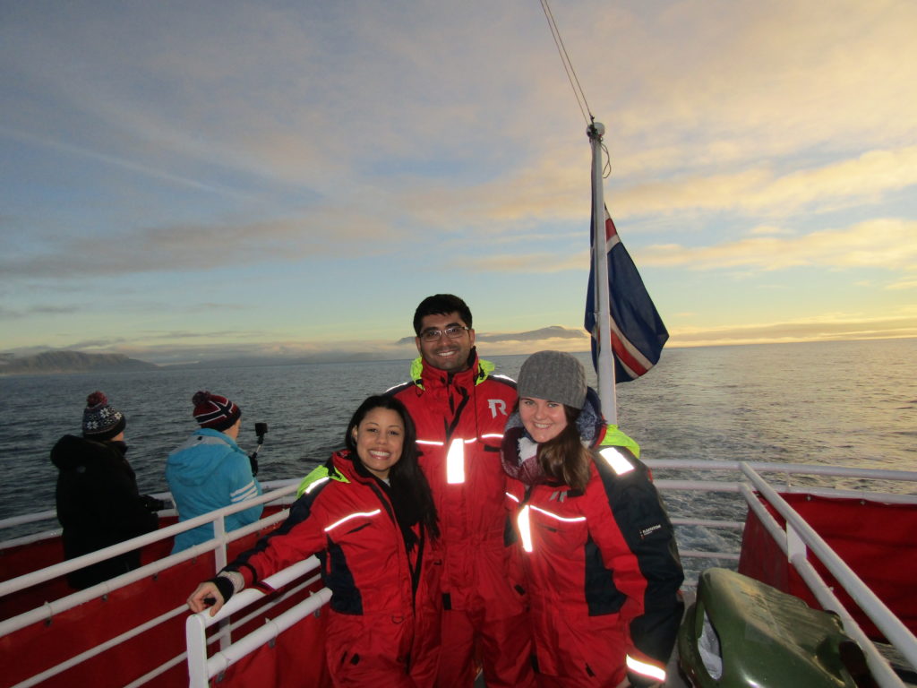 Elding Whale Watching in Iceland