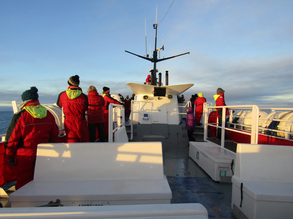 Elding Whale Watching in Iceland