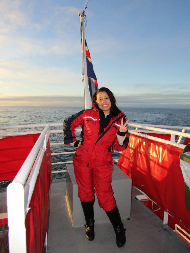 Elding whale watching in Iceland