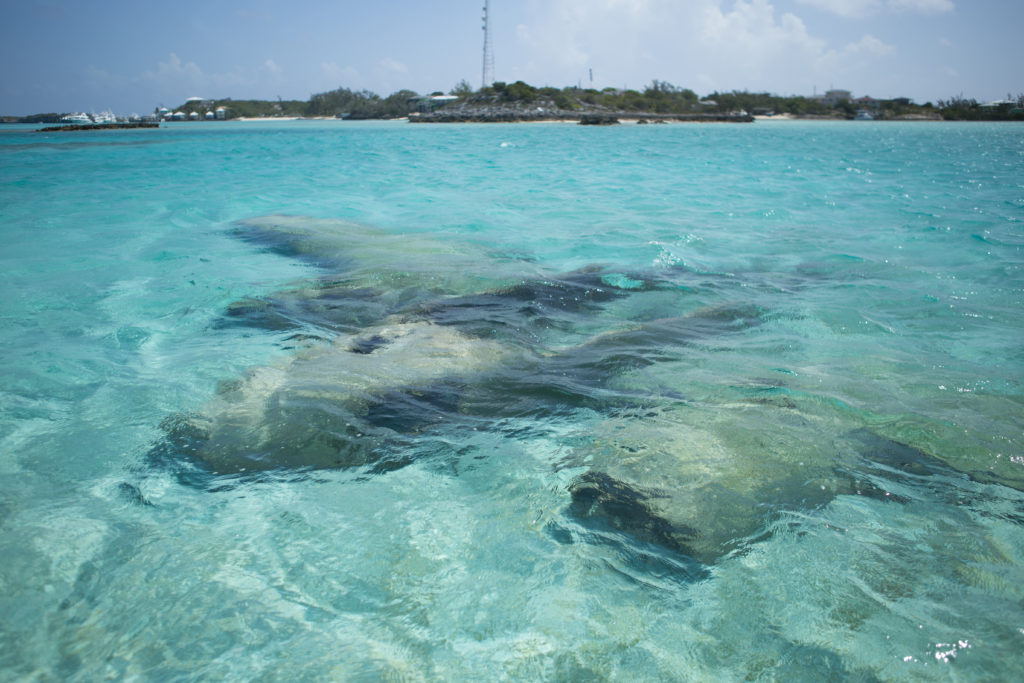 Sunken Drug Plane Exuma Bahamas