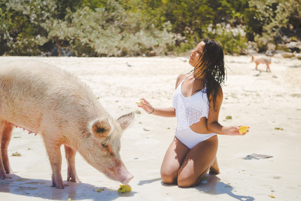 Pig Island Exuma Bahamas - Things to Do in Exuma
