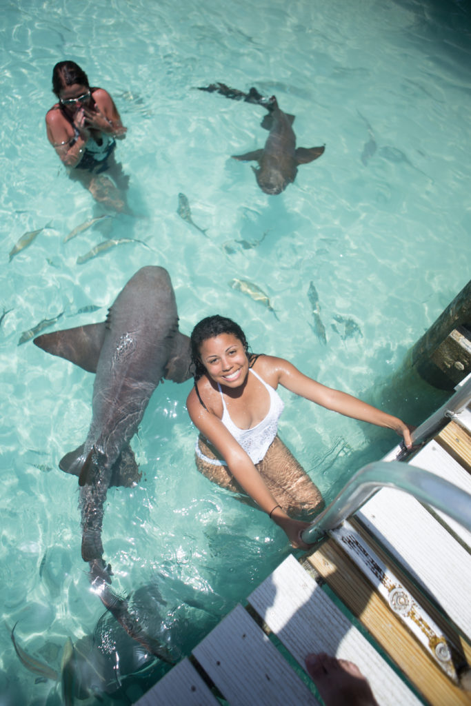 Compass Cay Sharks Exuma Bahamas - Things to Do in Exuma