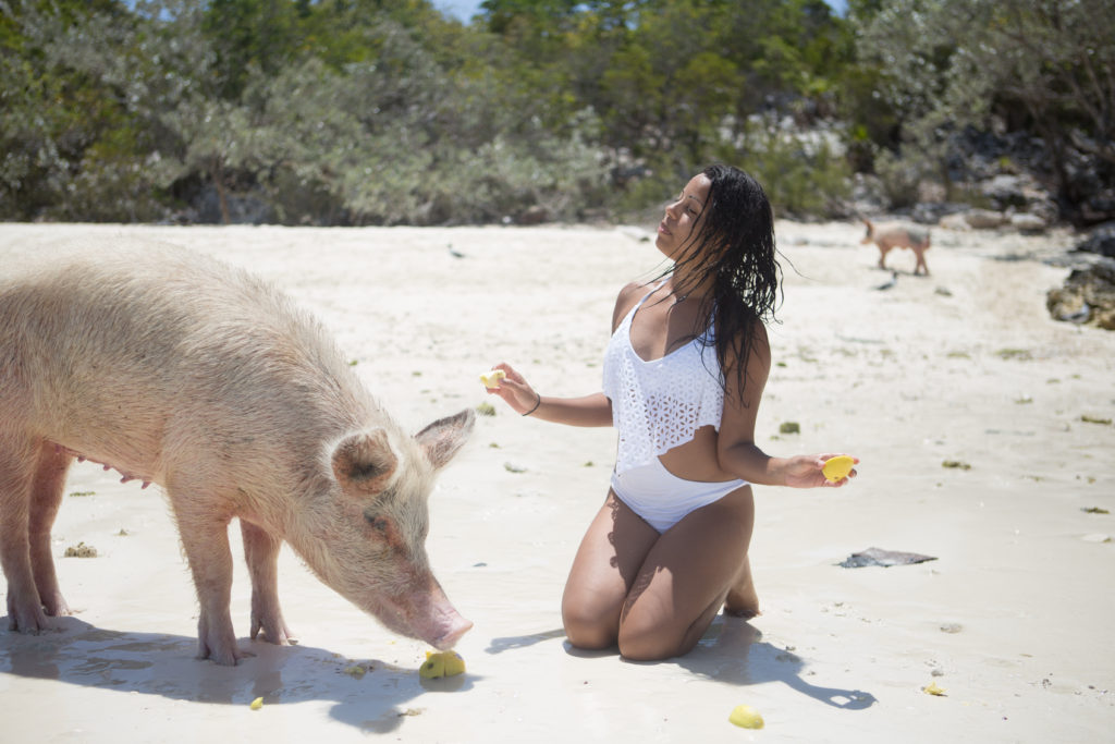 Pig Beach Exuma Bahamas - swimming pigs in Exuma