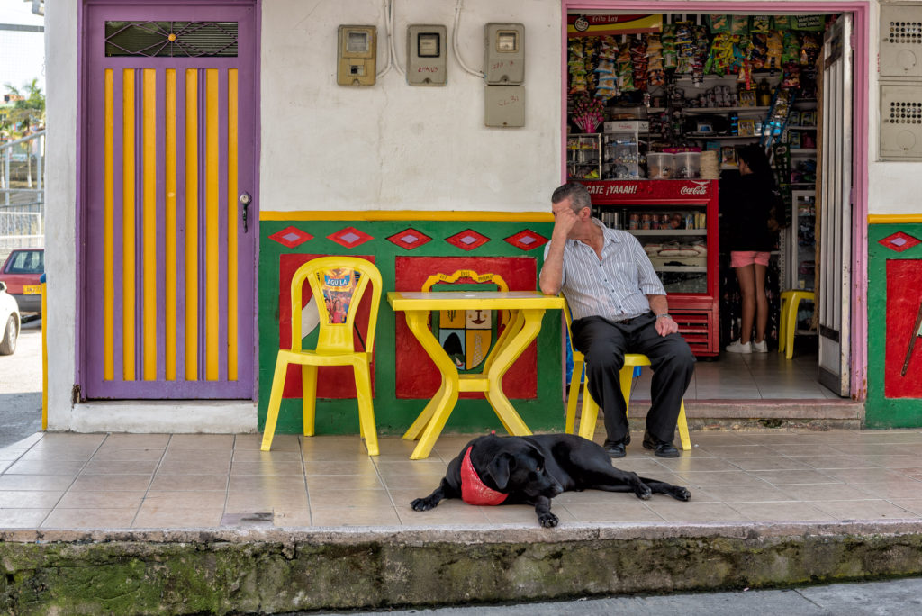 Colombia South America dog guatape tour