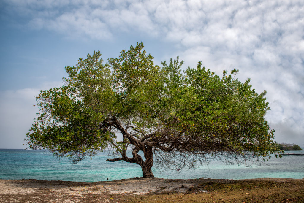 Colombia South America rosario islands tour