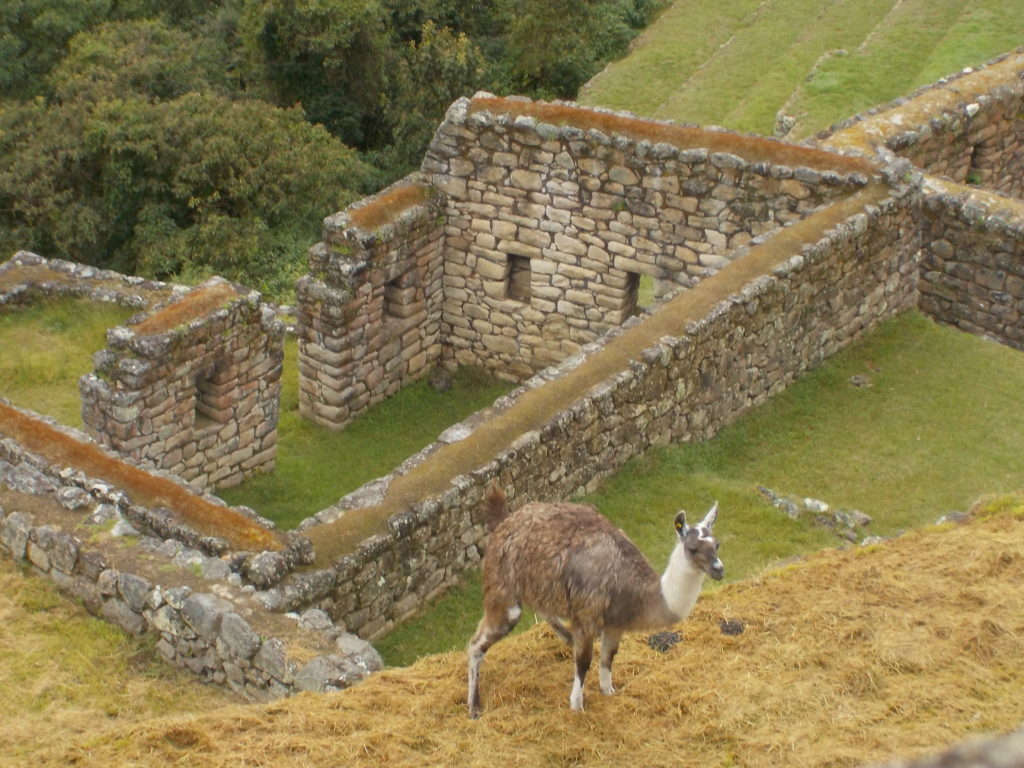 Machu Picchu trip - Peru - Gadventures