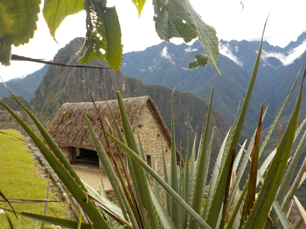 Machu Picchu trip - Peru - Gadventures