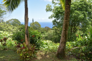 maui road to hana tips