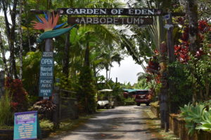 road to hana maui garden of eden tips