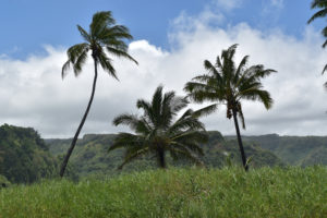 maui hawaii road to hana tips