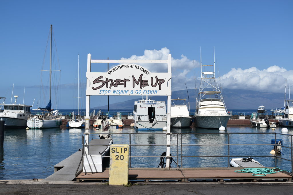 things to do in maui