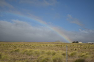 hilo kona hawaii rainbow