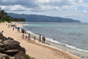 oahu hawaii laniakea turtle beach