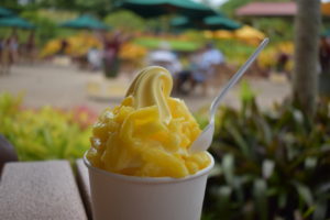 oahu hawaii pineapple plantation