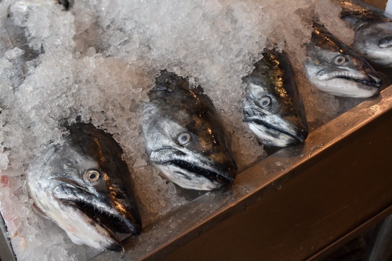 pike place market fish - seattle girls trip