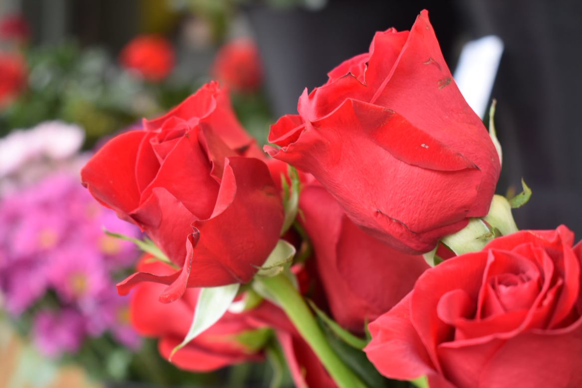 Pike Place Market flowers - seattle girls trip