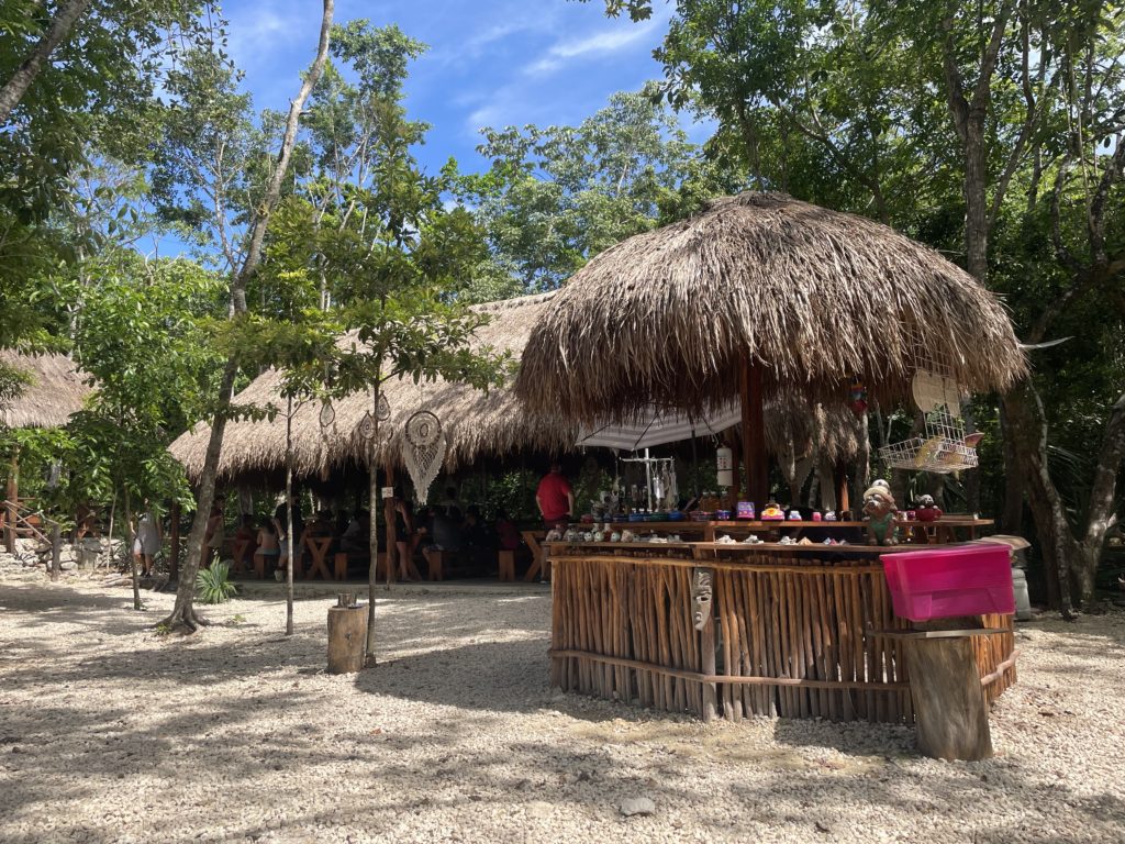 Tulum Ruins, Reef Snorkeling, and Cenote