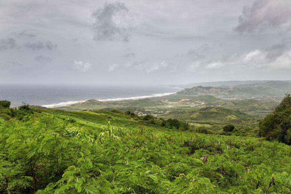 Barbados Island Tour