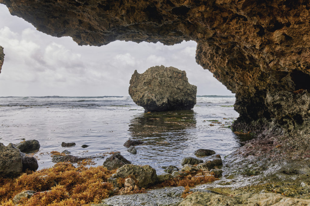 Barbados Island Tour