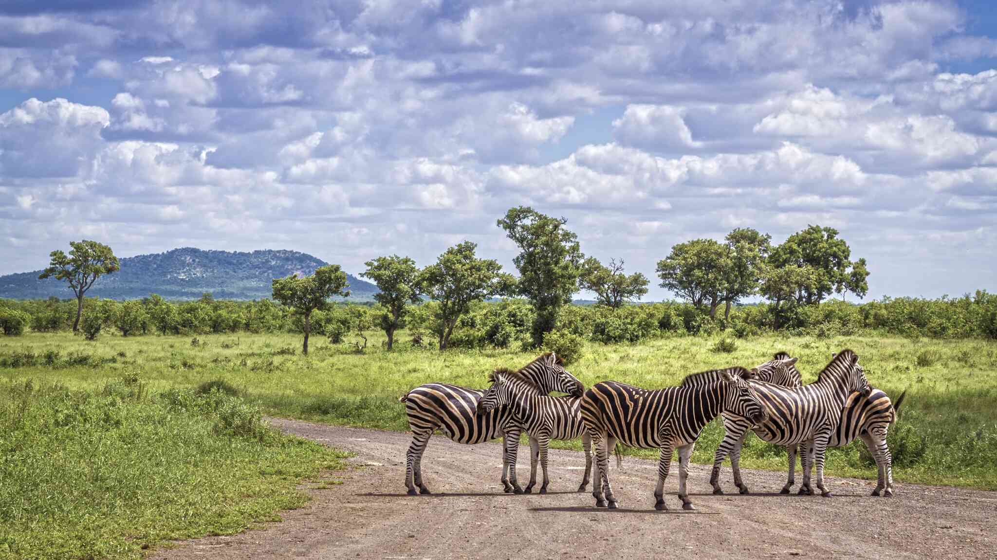 African Safari tips - Kruger National Park