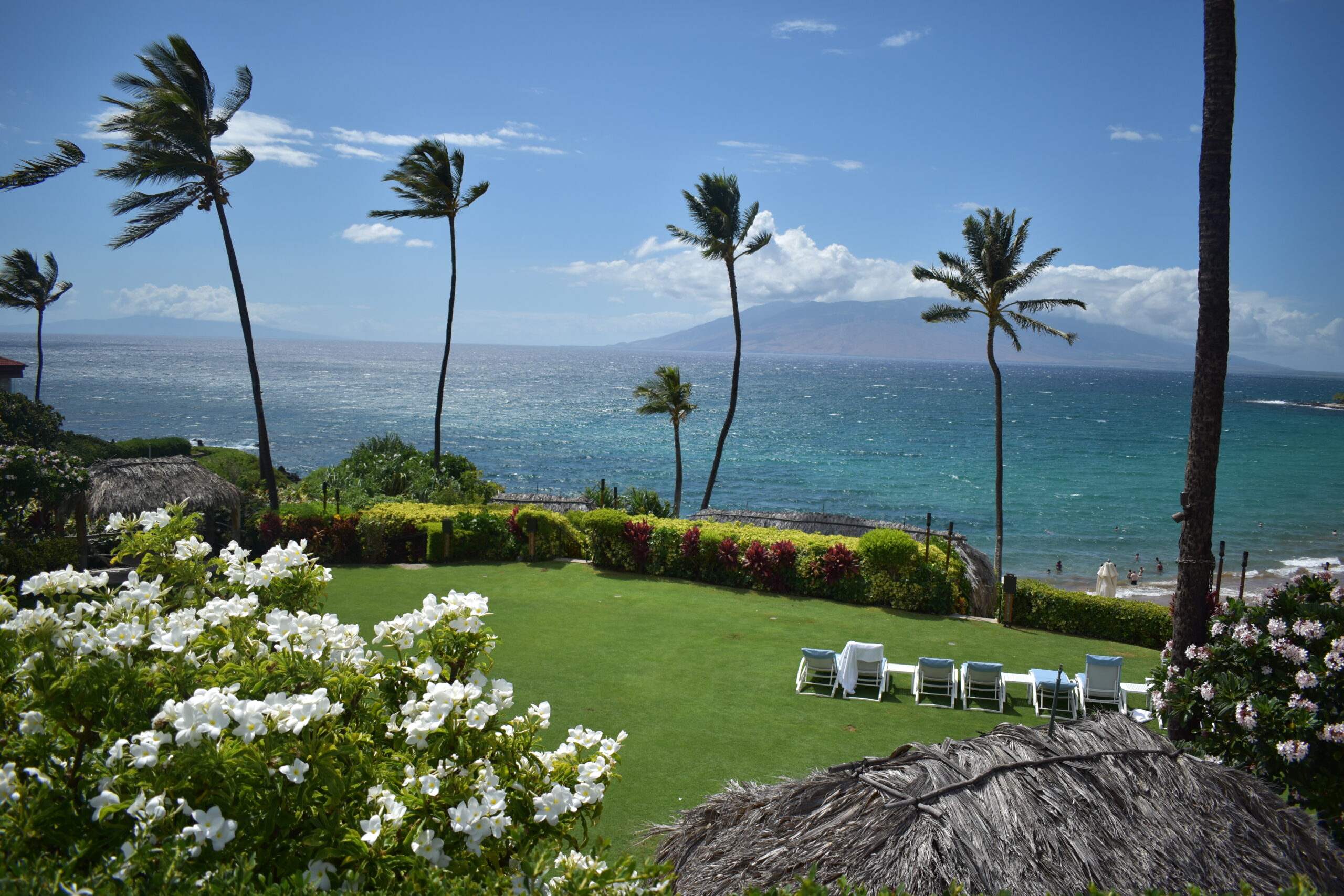 things to do in Maui - Four Seasons Maui