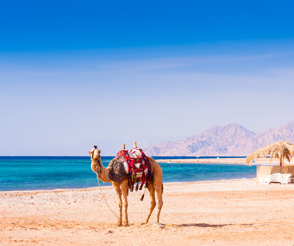 Best Beaches in Africa - Sharm El Sheik Egypt