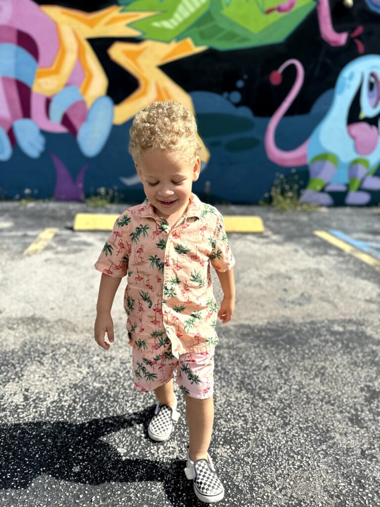 Visiting the Wynwood Walls in Miami Florida