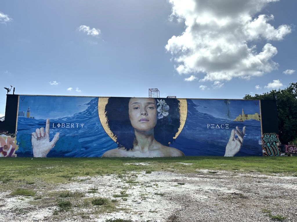 Visiting the Wynwood Walls in Miami Florida