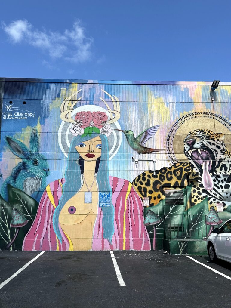 Visiting the Wynwood Walls in Miami Florida