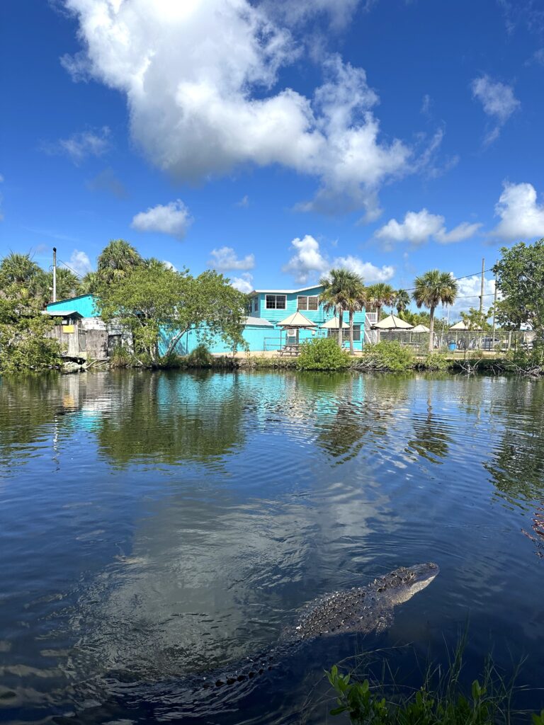 Visiting The Everglades in Florida
