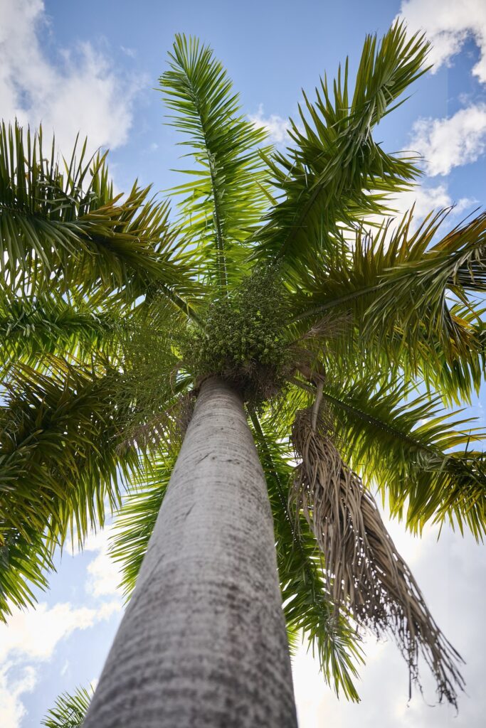 Things to do in Miami Florida